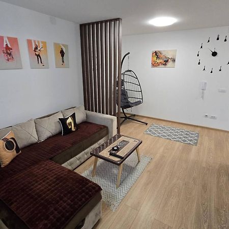 Apartman Muzika ヤゴディナ エクステリア 写真